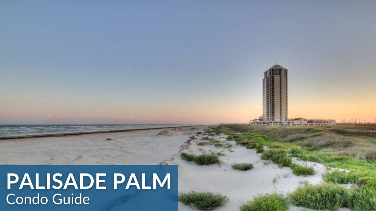 Guide to Palisade Palm Condo Houston