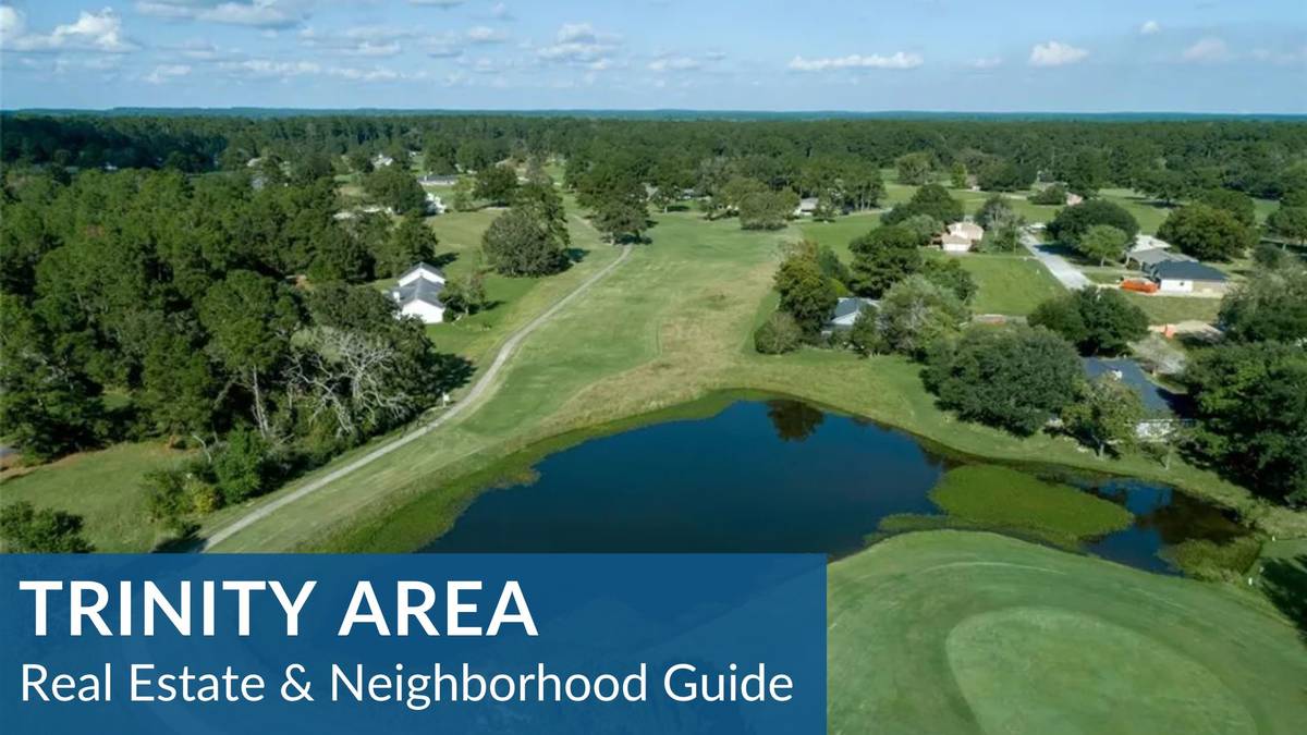 Trinity Area Real Estate Guide