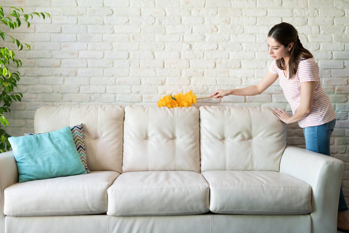 Clean Your Houston Home And Maintain Its Cleanliness