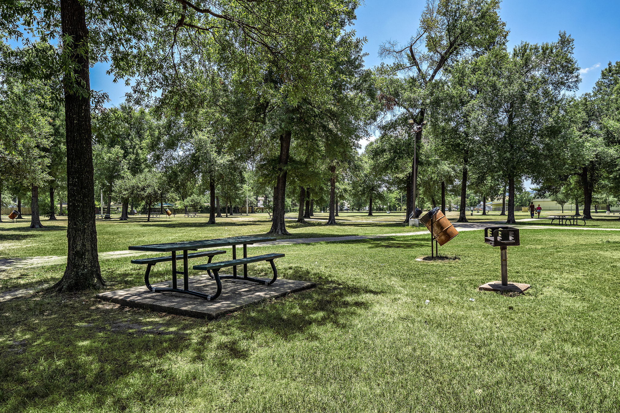 Seating areas, winding paths, and tall trees in Boyce Dorian Park